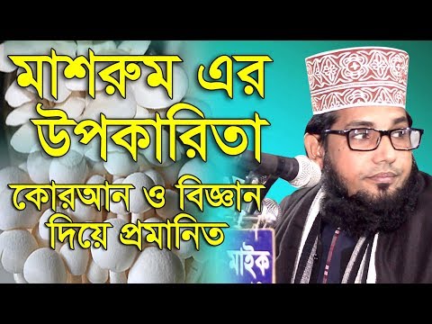 ভিডিও: দোকান থেকে কাঁচা মাশরুম খাওয়া কি সম্ভব?