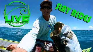 Giant Tarpon Sight Fishing on Live Watersports SUP Paddleboard - highlights