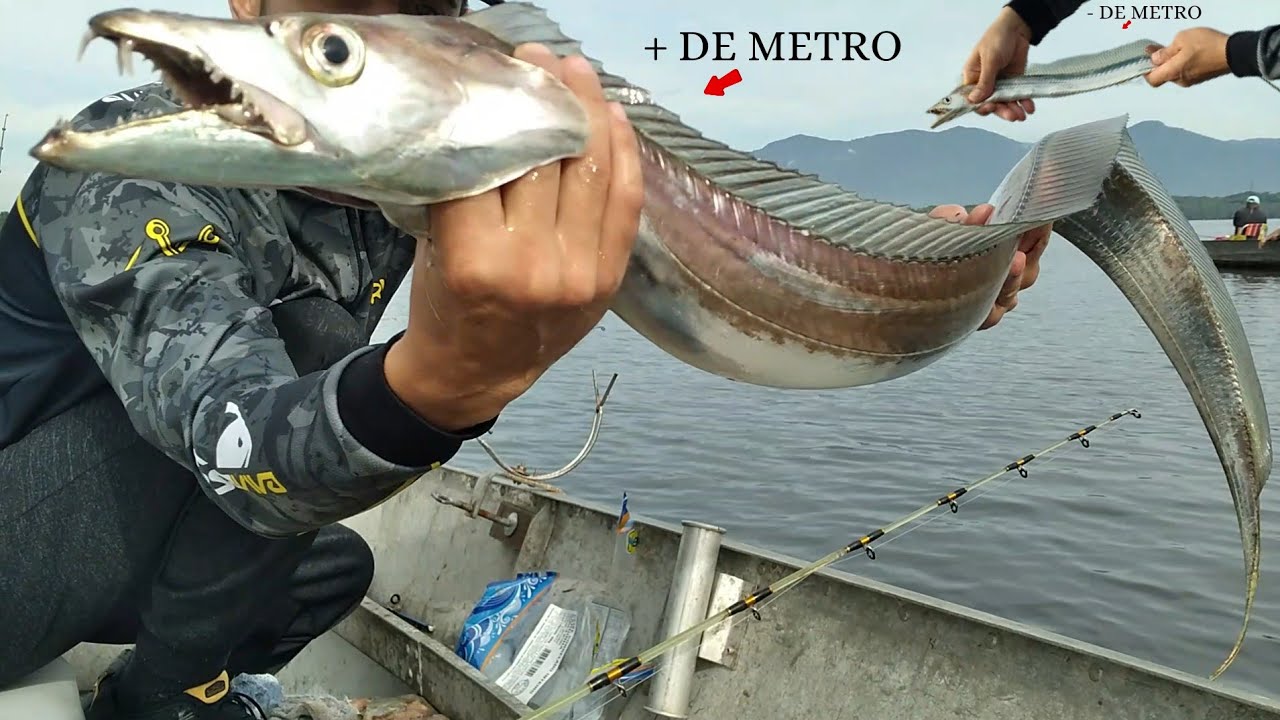 Fisguei esse Peixe Espada GIGANTE quando menos esperava no CANAL DE SÃO VICENTE
