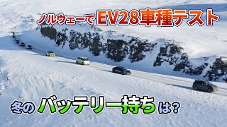 【冬のバッテリー持ち】ノルウェーでEV28車種、航続距離テスト