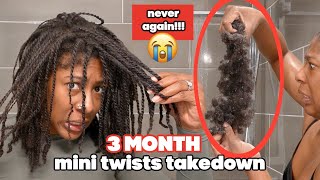 3 Month Mini Twists My Type 4 Natural Hair Wash Day Routine After Protective Style Length Check