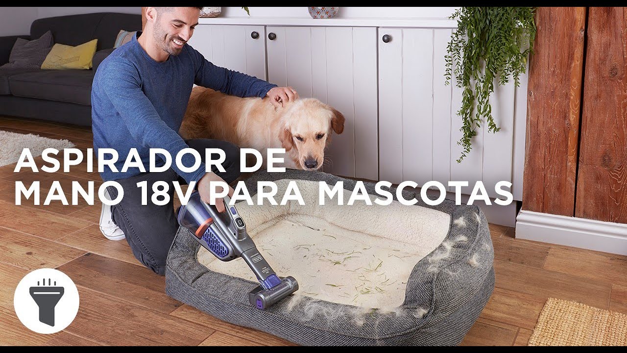 Aspirador de mano 18V para mascotas I BLACK+DECKER™ - YouTube