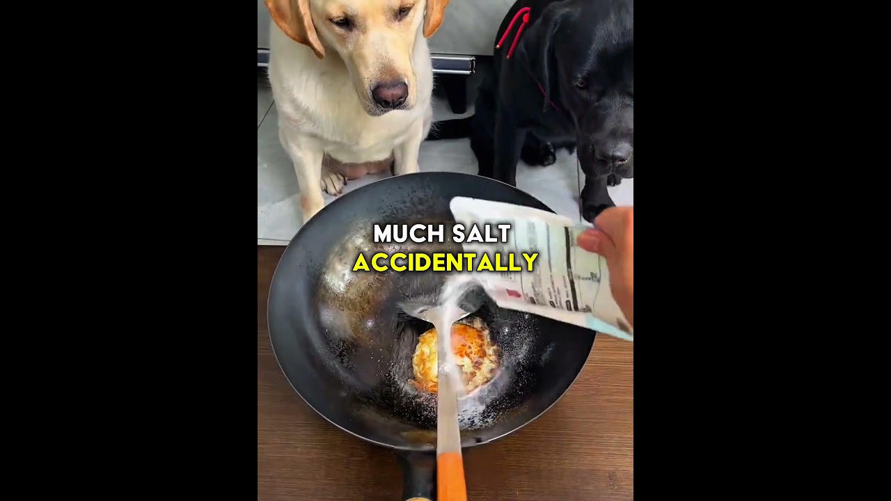 Man Always Treated His Black Dog Unfairly