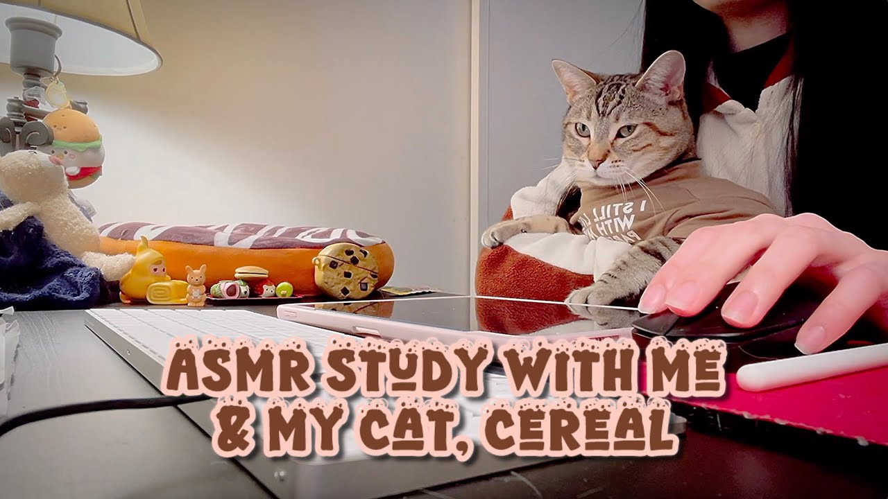 A Warm Brown Evening For Tired Souls | ASMR | Cat Purring, Keyboard Typing & Cursor Clicking