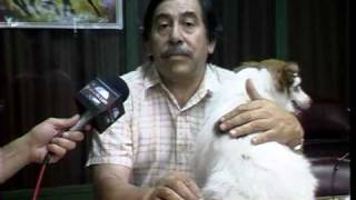 Peli Mapa Mascota