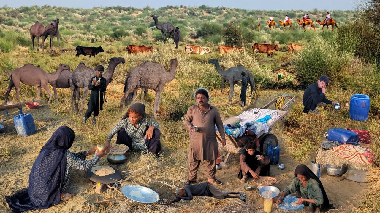 People living in desert and morning routine | The life of camel herders in the desert | Cooking food