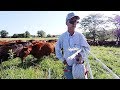How Greg Judy Farms 1,600 Acres He Doesn’t Own