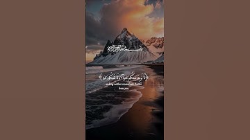 أكتب شيء تؤجر عليه 😴🤍 #اسلام_صبحي #تلاوة_هادئة #راحة_نفسية #هدوء #تلاوة_خاشعة #اكسبلور #حالات_واتس