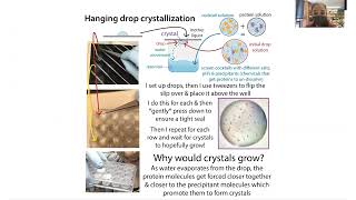 Vapor diffusion crystallization - theory & practice of hanging & sitting drop crystallization