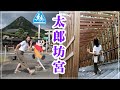 【4K】太郎坊宮-阿賀神社☆天狗の山を歩く【御神田】【夫婦岩】【飛び出し坊や】【滋賀県】