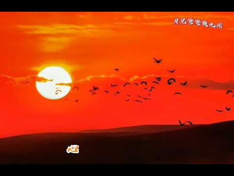 月兒彎彎照九州
