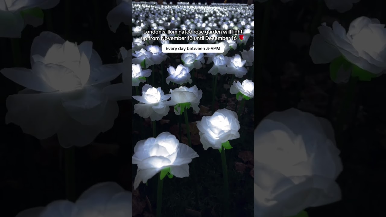 The Ever After Garden - London 🌹  