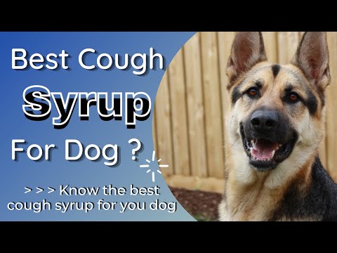 best dog cough syrup कुत्ते की खांसी की दवा dog care and cure