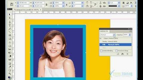 Adobe Indesign CS4 (TAMIL) FORMATING OBJECTS==Transparency-005.flv