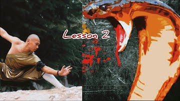 SNAKE KUNG FU FOR BEGINNER LESSON 2 / TRAINING KUNG FU AT HOME / 初级蛇拳第二课