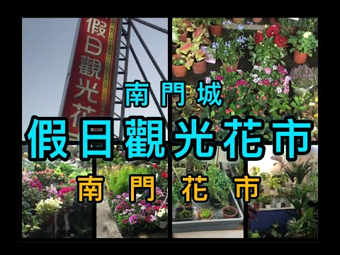 【台南】南門城假日觀光花市南門花市