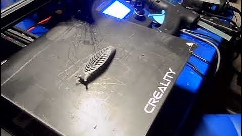 Slug time lapse