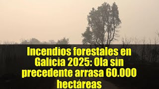Incendios forestales en Galicia 2025: Ola sin precedente arrasa 60.000 hectáreas