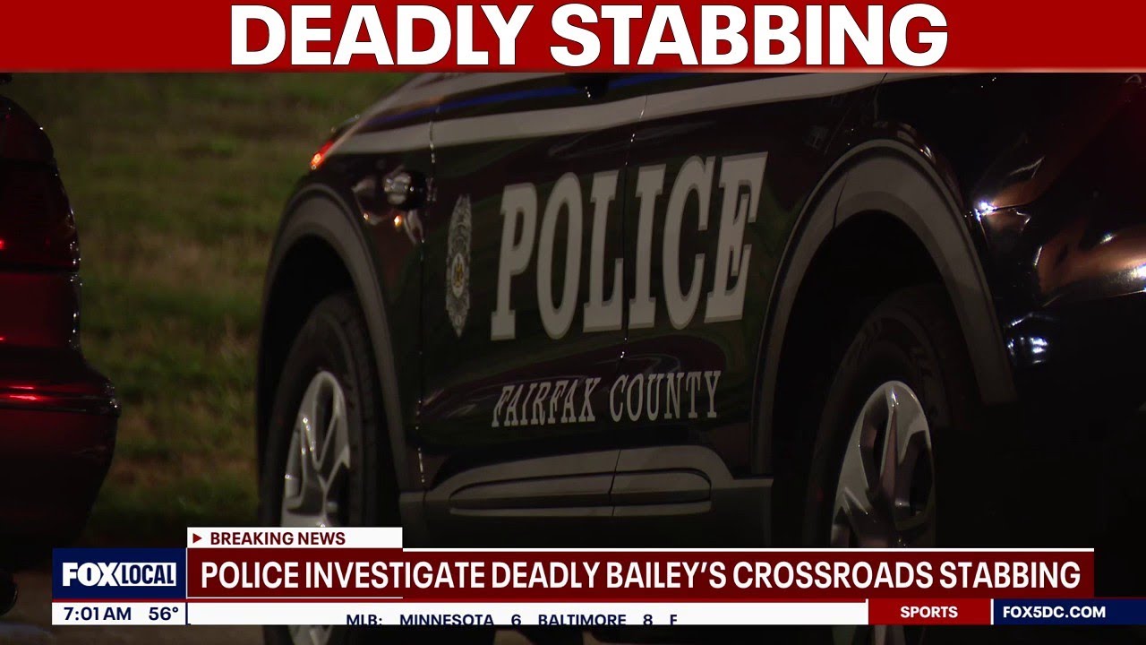 Suspect in custody after deadly stabbing in Bailey’s Crossroads