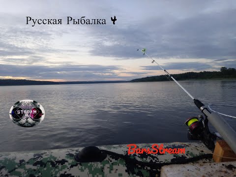 Видео: Русская рыбалка 4 \ Старый острог \ В поисках трофейного леща \