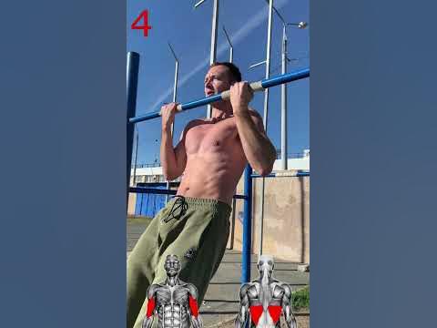 Виды подтягиваний и хватов. Какие мышцы работают ? - YouTube