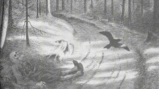 Burzum  Det Som En Gang Var instrumental