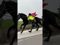 #Play and Earn Music Project#The Excitement on Horseback#The Joy of Horse Riding#Camel Caravan