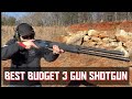 Best Budget 3 Gun Shotgun (Stoeger M3K Freedom Series)