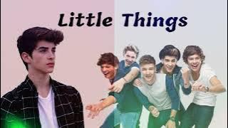 LITTLE THINGS ONE DIRECTION COVER MANU RIOS LYRIC INDO SUB CHARA LYRIC