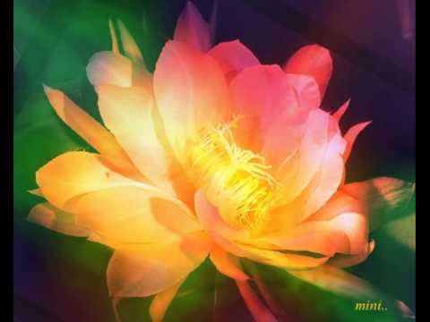 ravinte deva hridayathil mp3