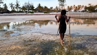 Download Lagu Philipp Ham Kuman - Oxumaye (Official Video) MP3 Download Lagu Philipp Ham Kuman - Oxumaye (Official Video) MP3