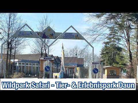 Wildpark-Safari im Wild- & Erlebnispark Daun