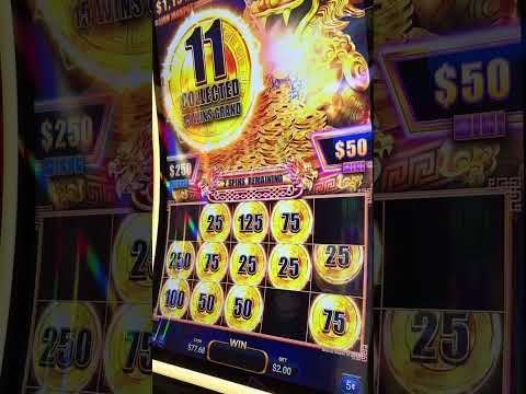 A Mil m del Mar | Ocean Encounters en Curaçao (Parte1)