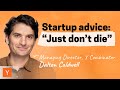 Lessons from 1000 yc startups resilience tar pit ideas pivoting more  dalton caldwell yc