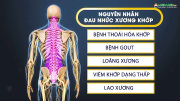 Đau nhức xương khớp và cách phòng ngừa hiệu quả