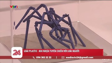 Loài Plastic - Khi nhựa tuyên chiến với con người | VTV24
