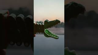 Crocodile eat sunset #youtubeshorts #youtube #sunset #crocodile
