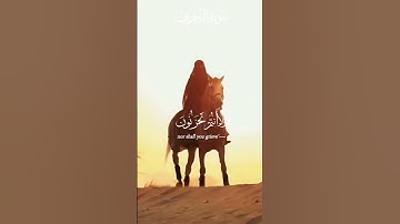 تلاوة القرآن الكريم 🌹😌🤍 #تلاوات #تلاوات_خاشعة #تلاوة_هادئة #قرآن