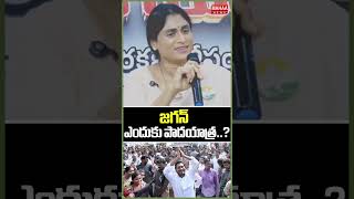    Ys Sharmila  Jagan  Jagan Padayatra  Mahaa News