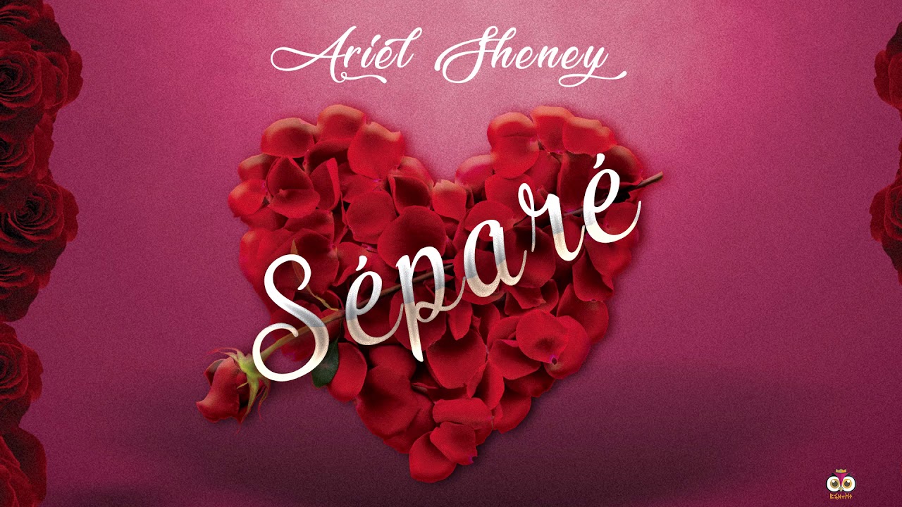 ariel sheney séparer ariel sheney séparer