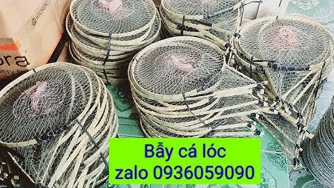 Bán bẫy cá lóc, bán lợp cá lóc, bẫy cá đa năng hàng chuẩn, Zalo 0936059090. Ship toàn quốc.