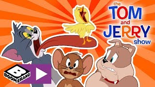 Is that singing duck little quacker!? quacker an opera singer! while
jerry and spike are giving him support, tom gets really annoyed by his
music.t...