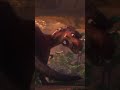 Why Was Momma Rex So Afraid Of Rudy Iceage Theory Viral Shorts Fyp Fypシ Edit 