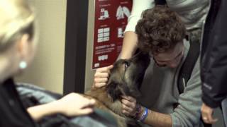 Canine Cuddles: Easing stress on campus