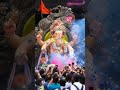 || BAPPA SOON || #explorepage #like#viral#ganesh#festival#fyp #ganpatibappamorya
