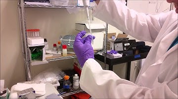 Safe-H2O Inc. Rapid Pathogen Detection System