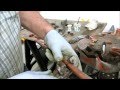 how to solder copper water pipe : plumbing tips