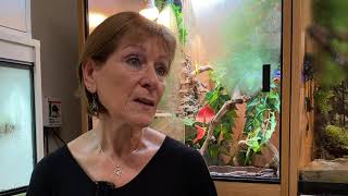 Birmingham TV - Reptiles and Pets, local businesses
