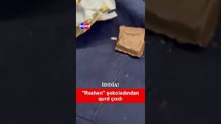 Roshen Şokoladından Qurd Çıxdı