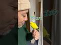 ふぁーする時は、黙って欲しい鳥